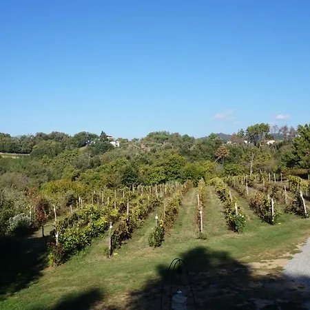 Agriturismo Le Vallilunghe Lucca